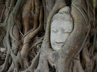 Wat Mahata