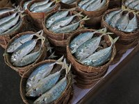 Marché : poissons