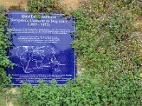 DSC 8913