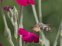 DSCF0094
