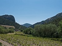 Vignobles