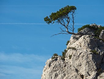 Pin perché