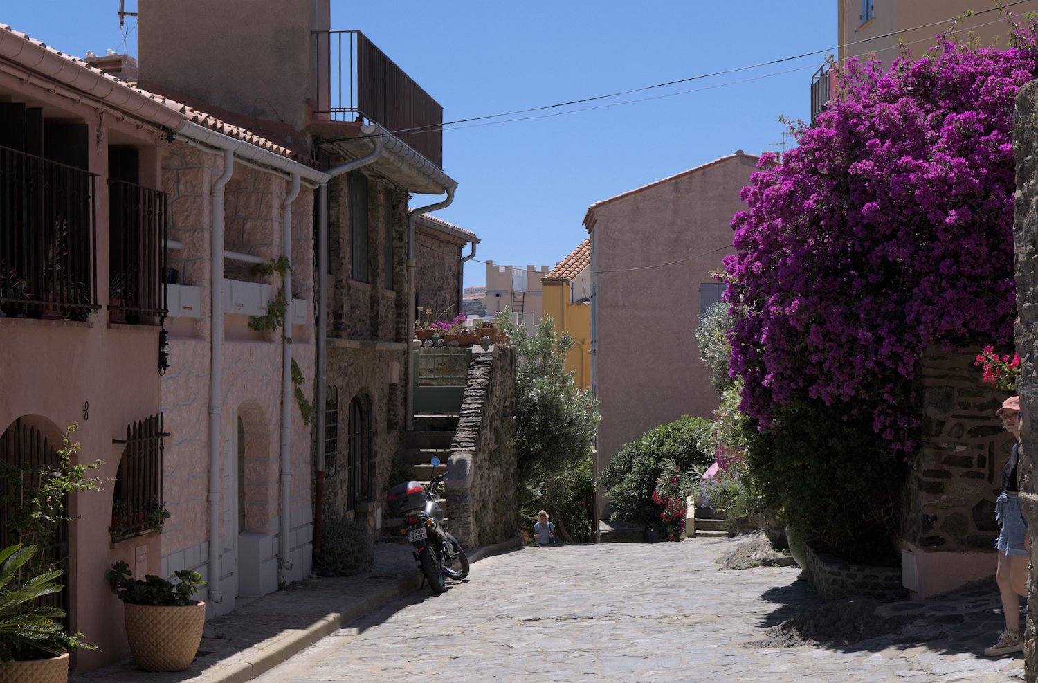 Ruelle
