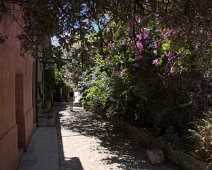 Ruelle