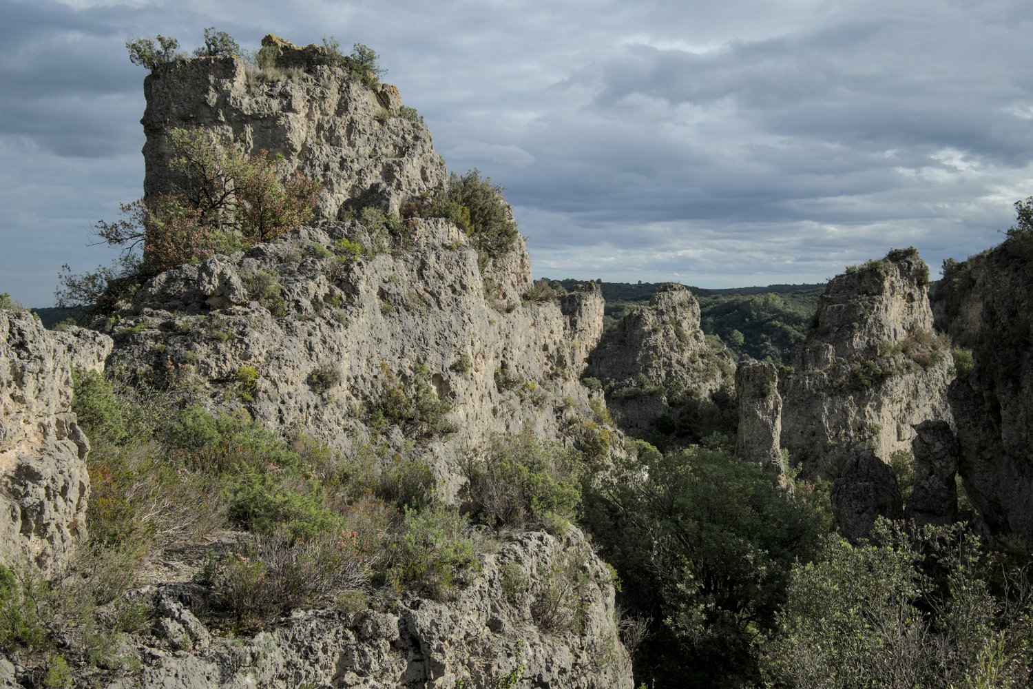 Rochers et formes