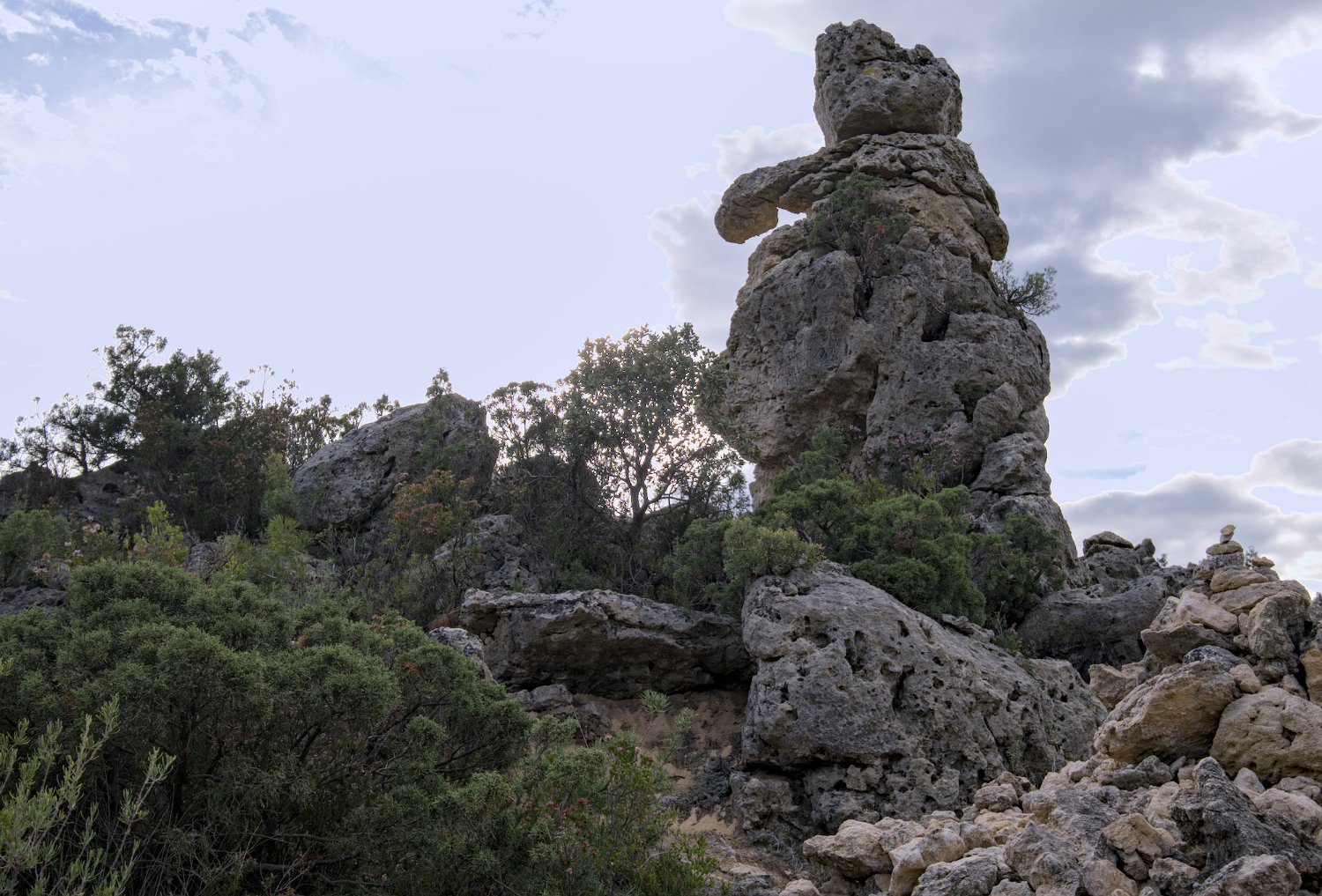 Rochers et formes