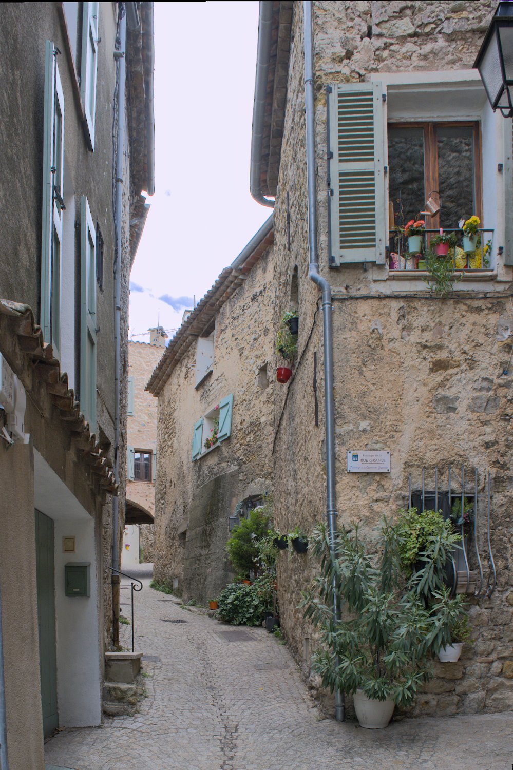 Ruelle