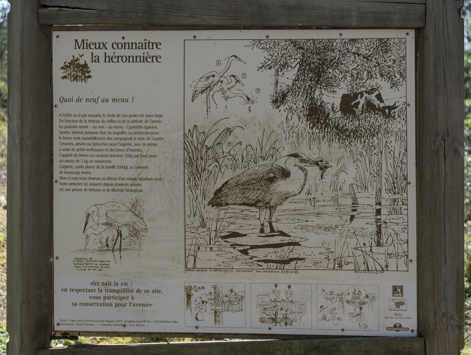 Panneau d'information