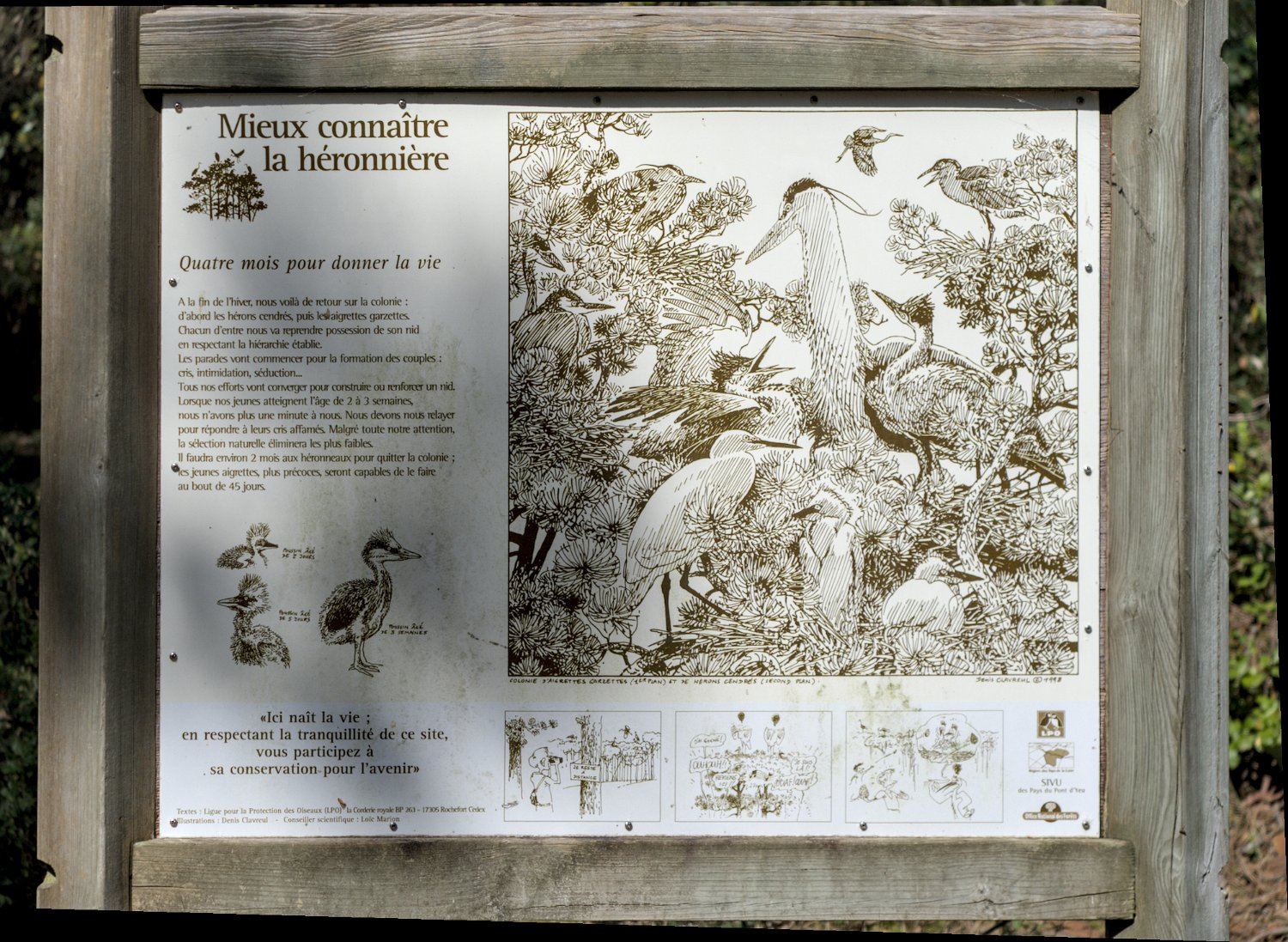 Panneau d'information