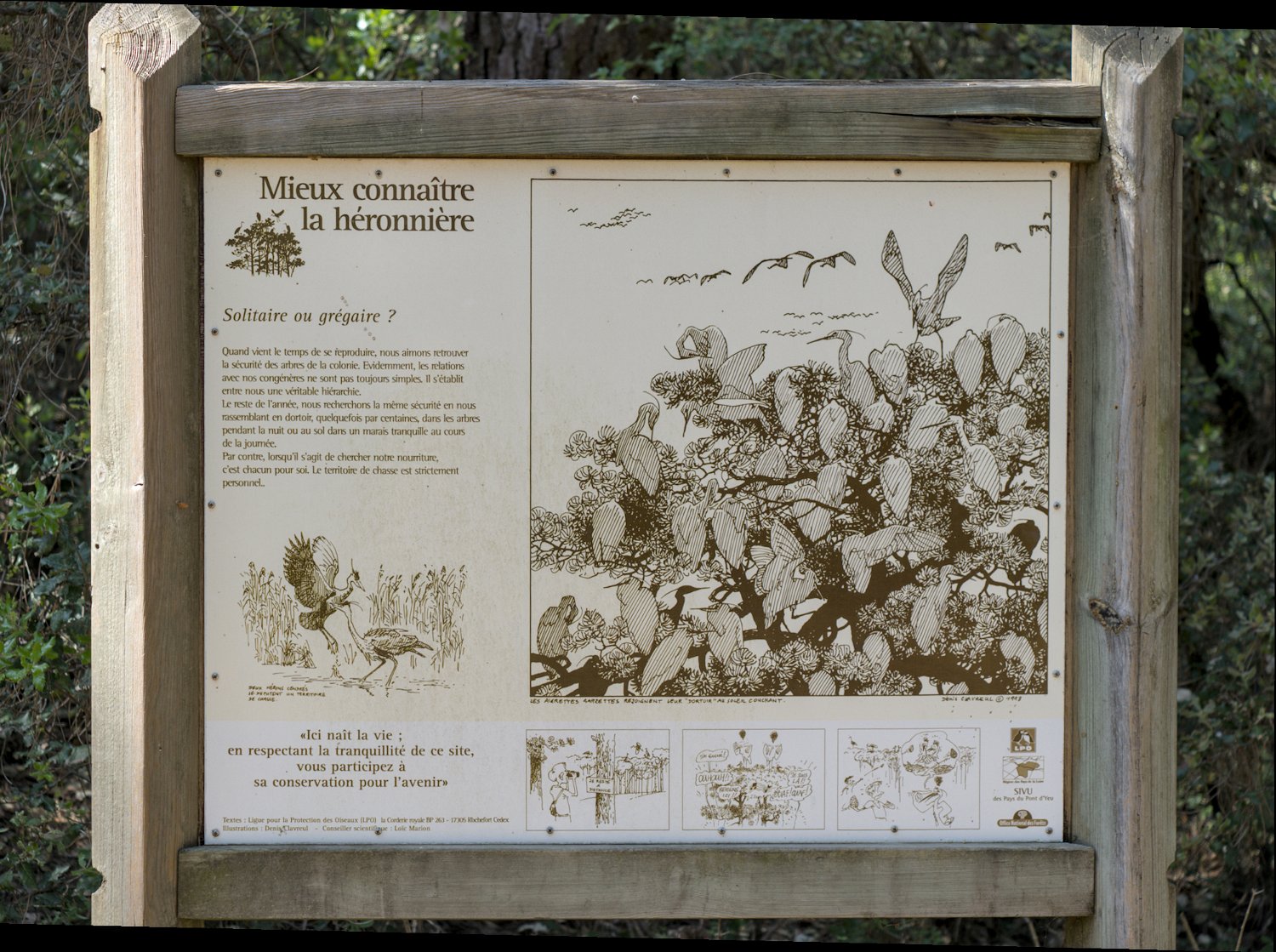 Panneau d'information