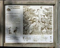 Panneau d'information