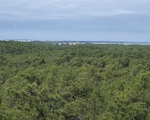 Forêt domaniale des Pays de Monts  A l'horizon le pont de Noirmoutier