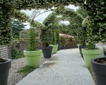 Allée de Jasmins
