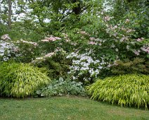 Espace fleuri