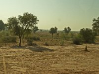 Désert du Thar