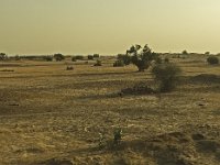 Désert du Thar