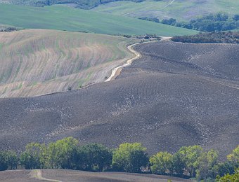 DSCF9043