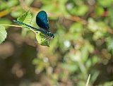 P6250097
