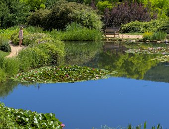 Pièce d'eau