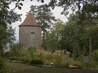Jardin des insectes