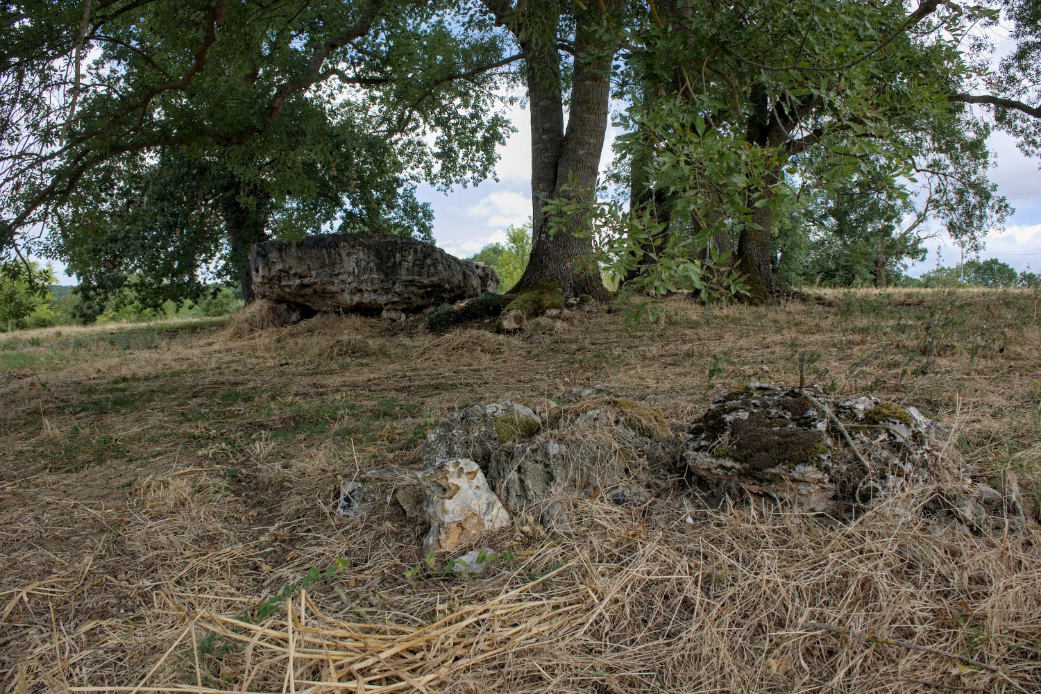 Dolmen de Breil 