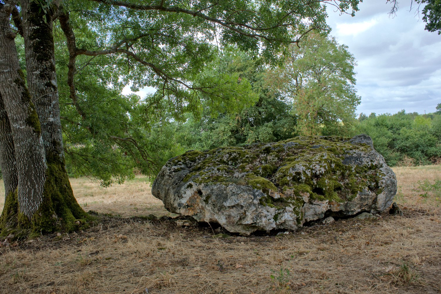Dolmen de Breil 