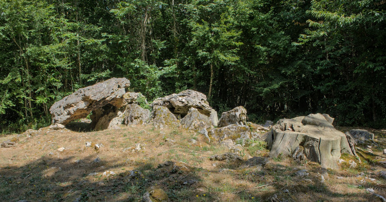 Allées couvertes de la Maison du Loup- Allée N°1 