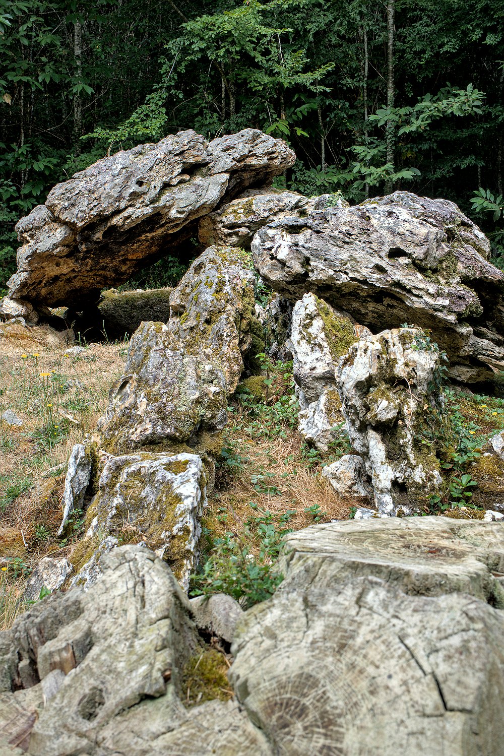 Allées couvertes de la Maison du Loup- Allée N°1 