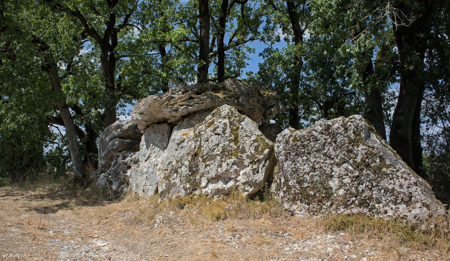 Allée couverte Peyre Lévade de Blanc (Nojals-et-Clotte)