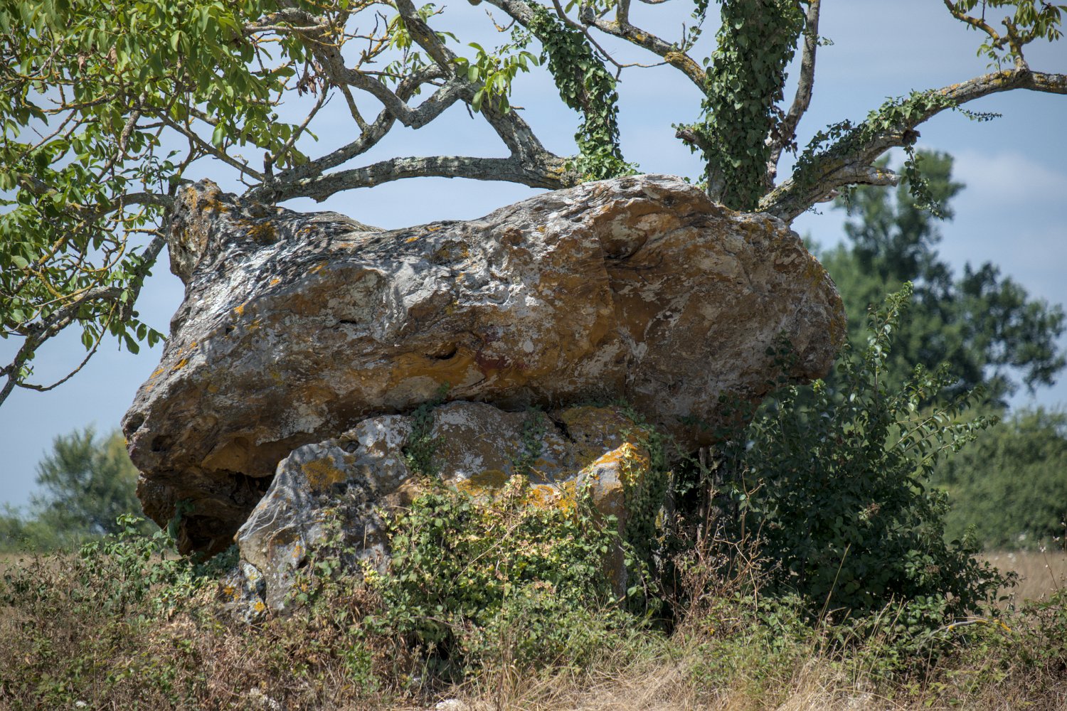 Dolmen de Peyre Nègre