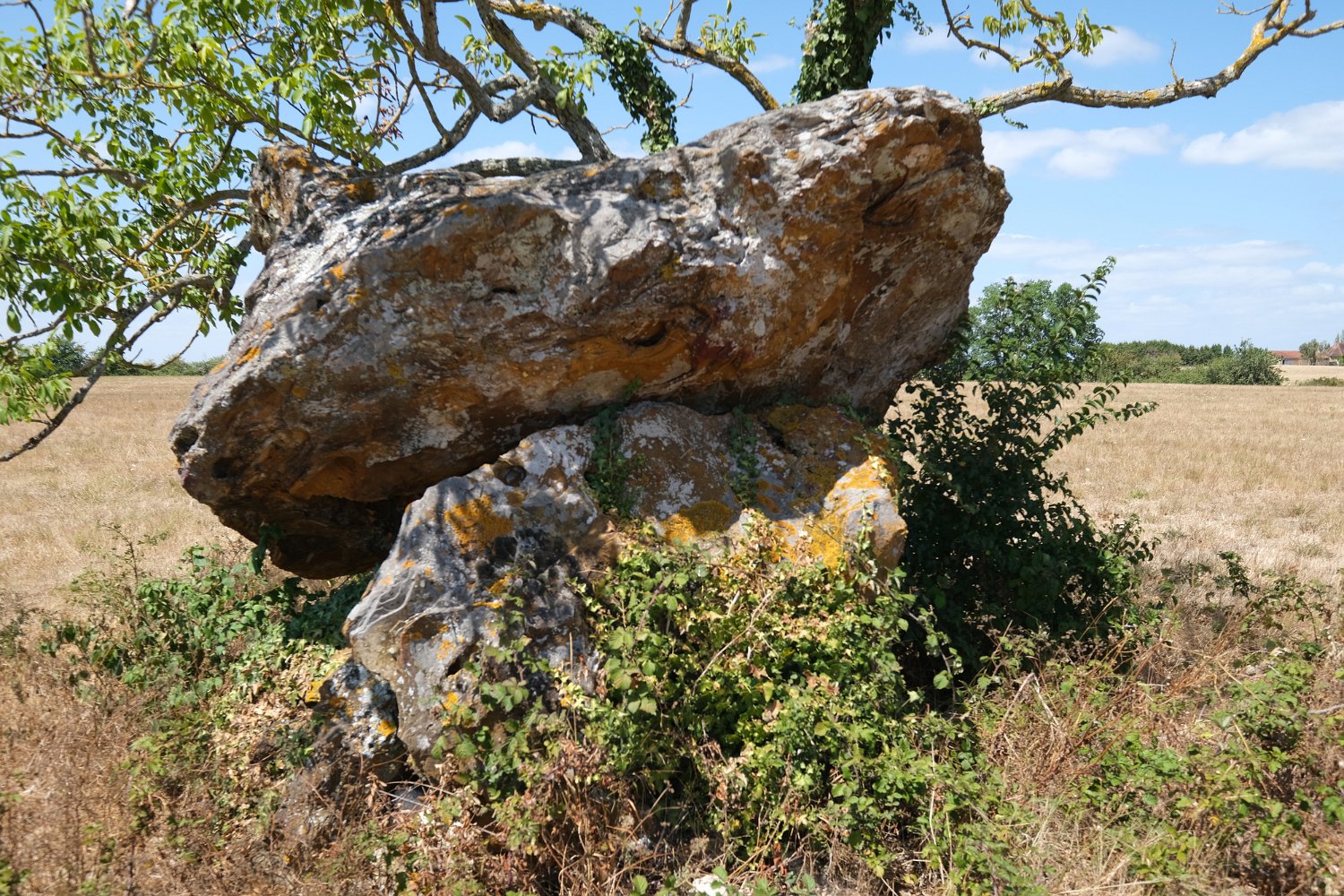 Dolmen de Peyre Nègre