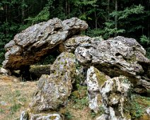 Allées couvertes de la Maison du Loup- Allée N°1