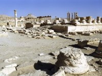 Le temple de Nébo