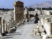 Le temple de Nébo