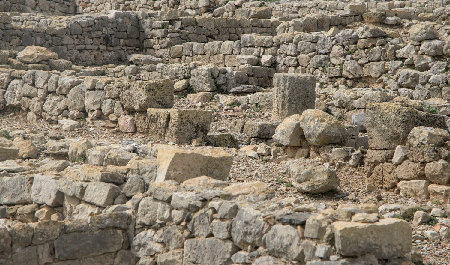 Vestiges