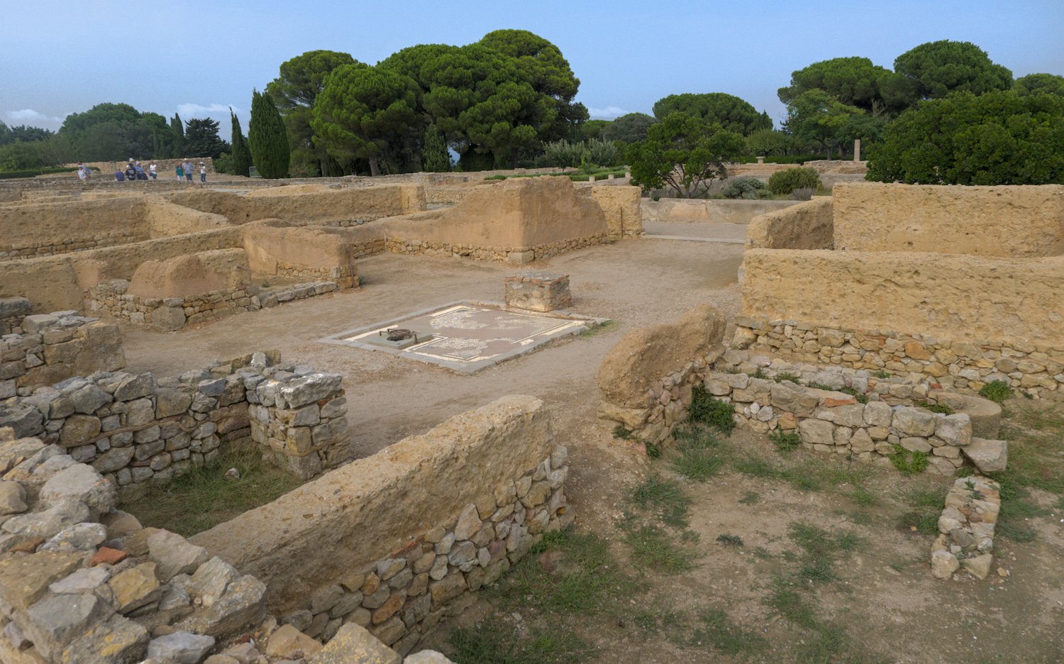 Vestiges des termes