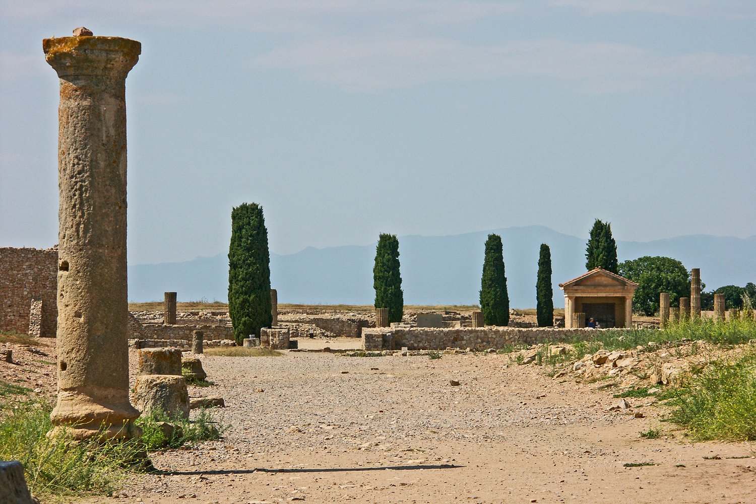  Le cardo Maximus