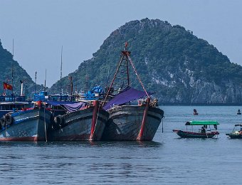 Bateaux de pêche