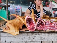 Carcasses de chien